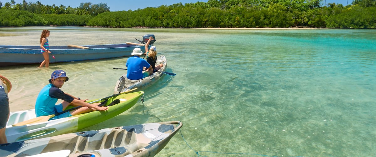 Malo Island showing tropical scenes, kayaking or canoeing and general coastal views