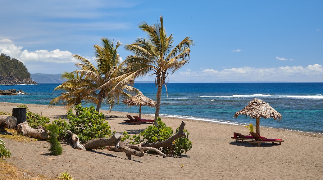 Tanna Island