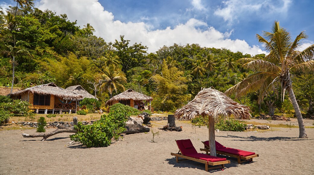 Tanna Island showing tropical scenes, general coastal views and a sandy beach