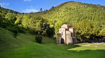 Oviedo som visar historisk arkitektur och stillsam natur