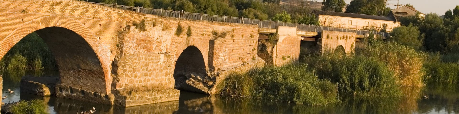 Toledo featuring a river or creek and a bridge