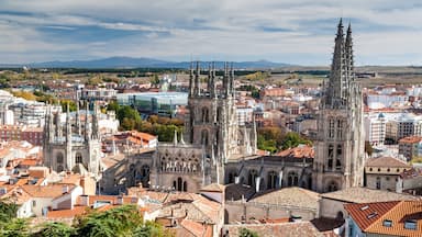 Burgos which includes a city, heritage architecture and landscape views