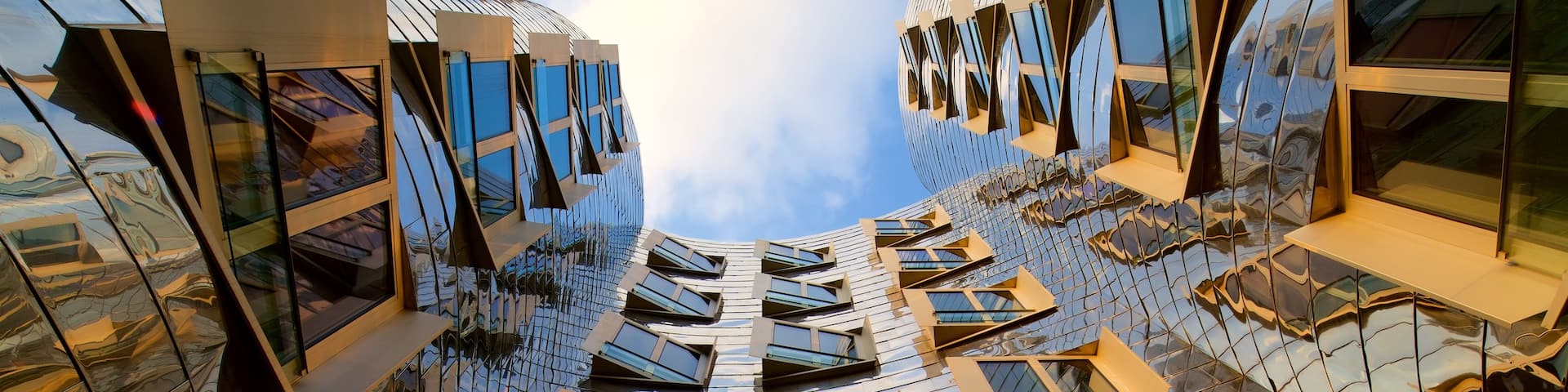 Gehry Buildings