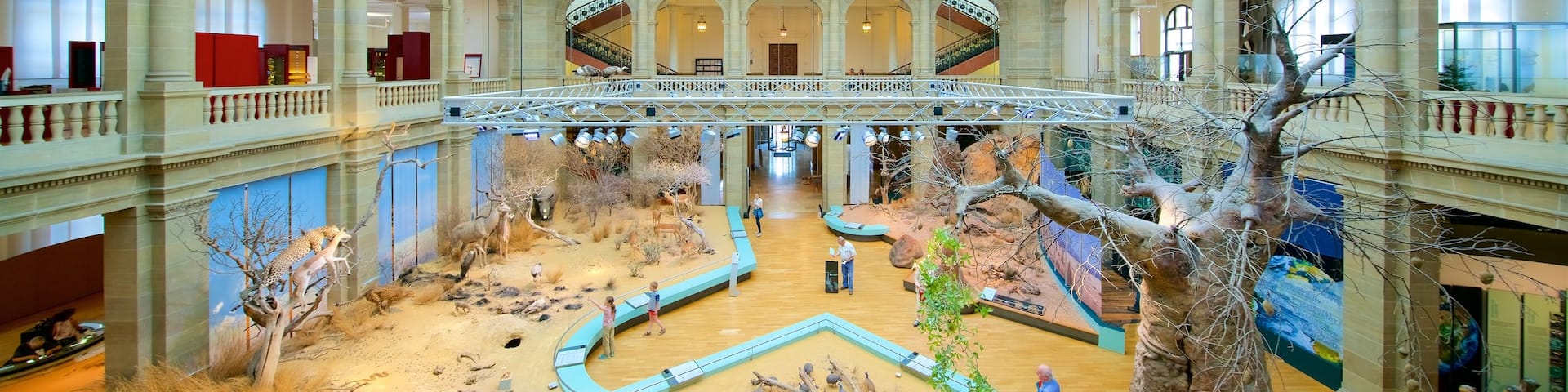 Alexander Koenig Research Museum