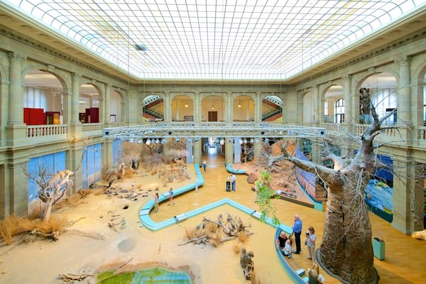 Alexander Koenig Research Museum