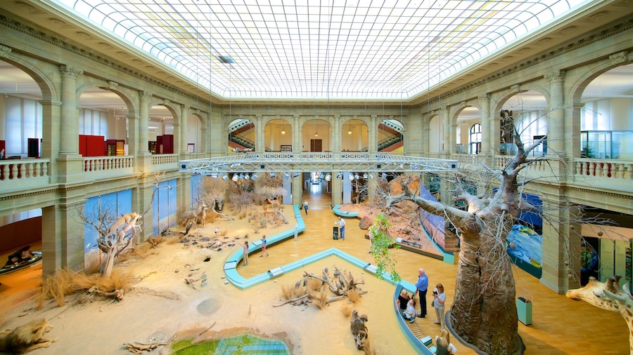 Forschungsmuseum Alexander Koenig
