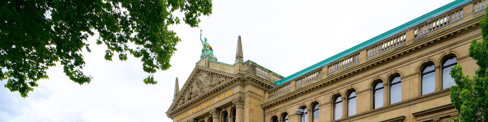 Zoological Research Museum Alexander Koenig which includes heritage architecture