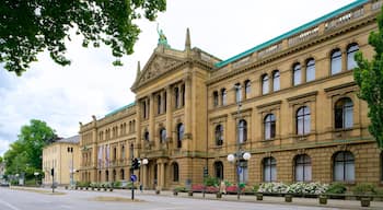 Zoologische Forschungsmuseum Alexander Koenig