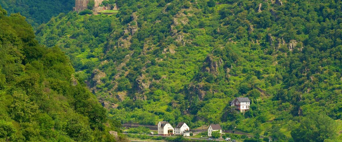 ์ํฌํธ ๊ณ ์๋ฅด