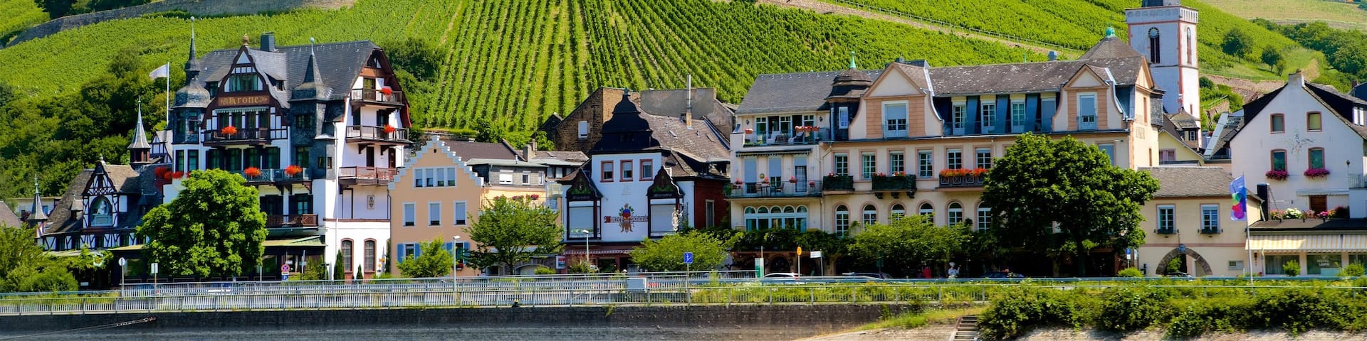 Bingen am Rhein