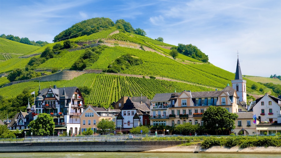 Bingen am Rhein