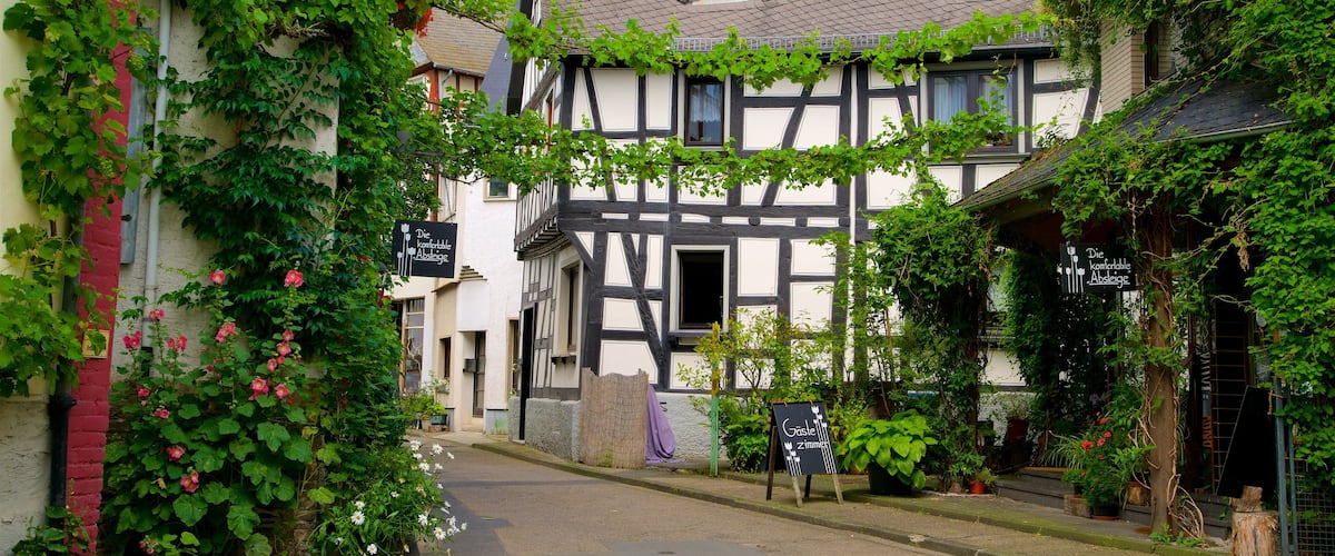 Braubach