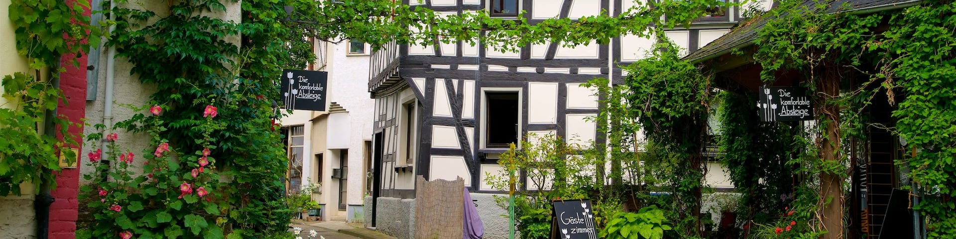 Braubach