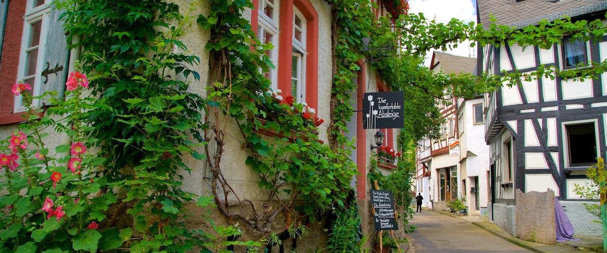 Braubach