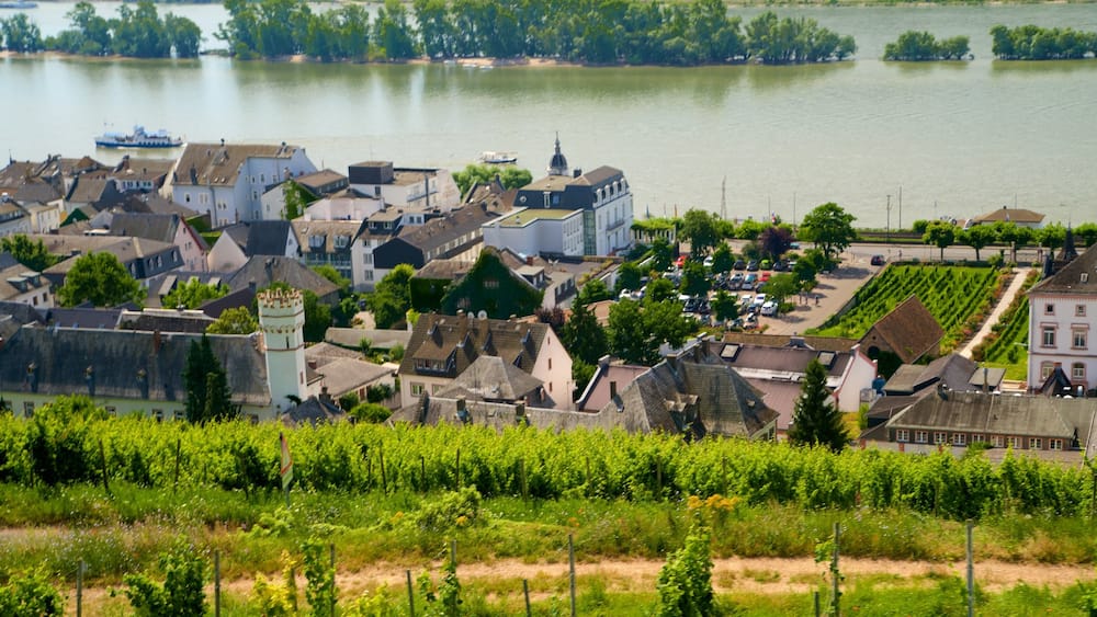 Rüdesheim am Rhein