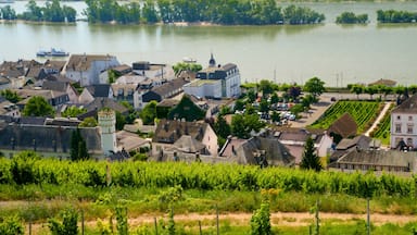 Ruedesheim am Rhein