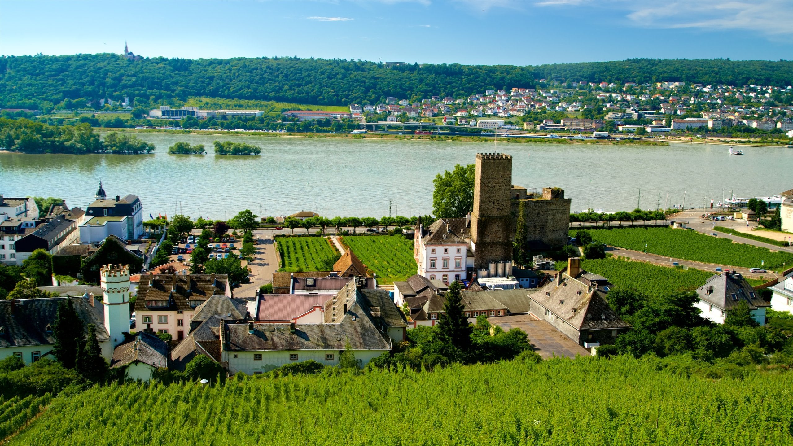 Visit Ruedesheim am Rhein: 2026 Travel Guide for Ruedesheim am Rhein,  Hessen | Expedia, image size:2560x1440
