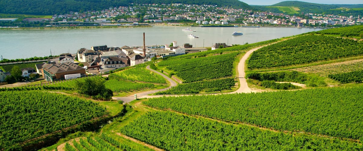 Rüedesheim am Rhein