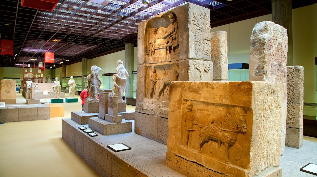 Museo Romano-Germánico