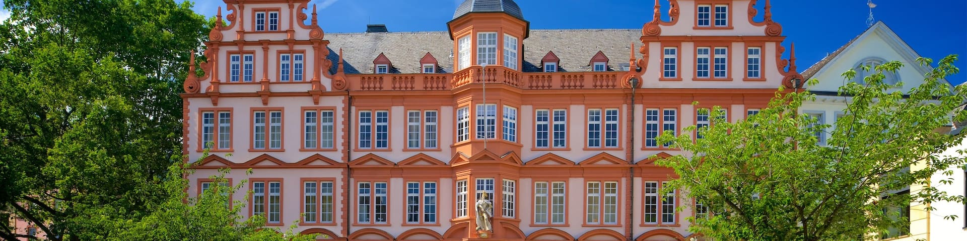 Gutenberg Museum