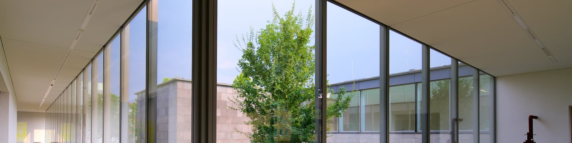 Folkwang Museum