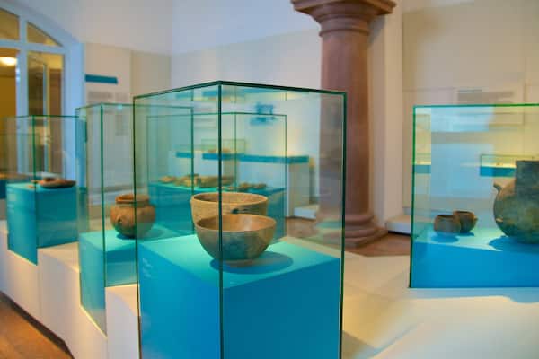Rheinisches Landesmuseum