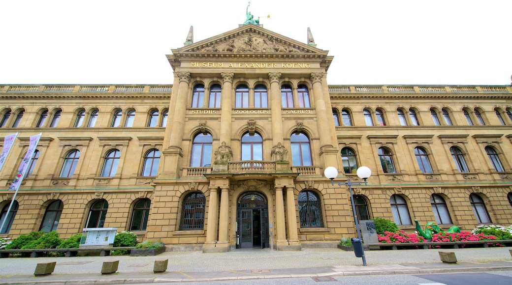 Zoologische Forschungsmuseum Alexander Koenig