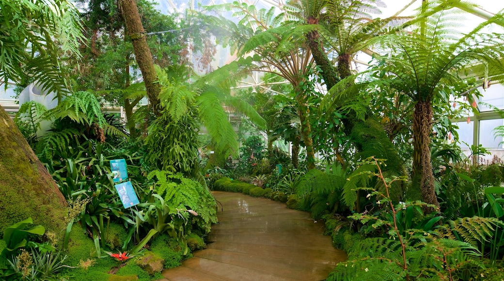 Grugaparks botaniska trädgård