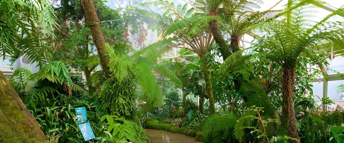 Grugapark Botanical Garden