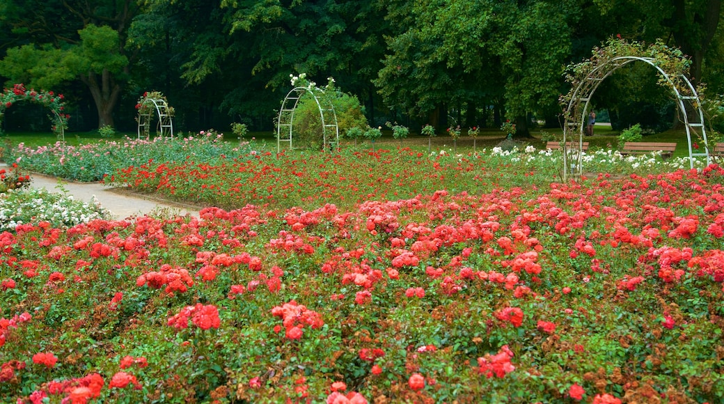 Jardín botánico Grugapark