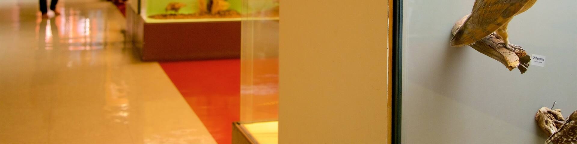 Naturhistorisches Museum