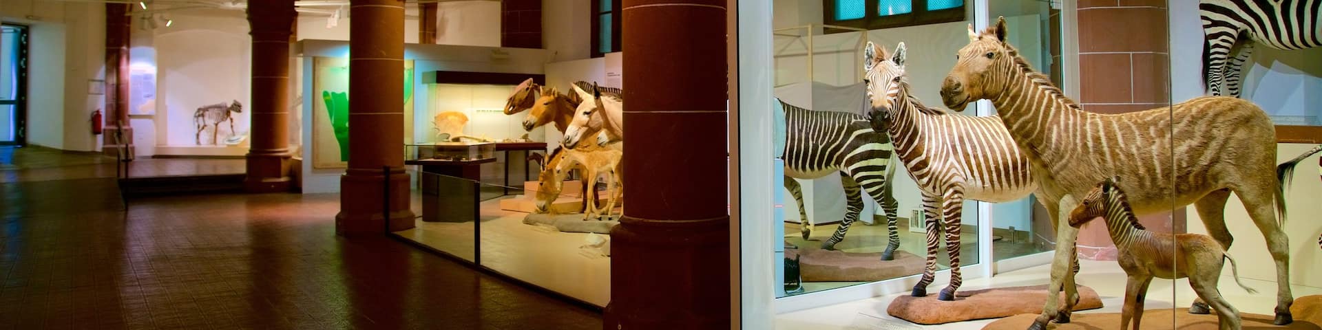 Naturhistorisches Museum