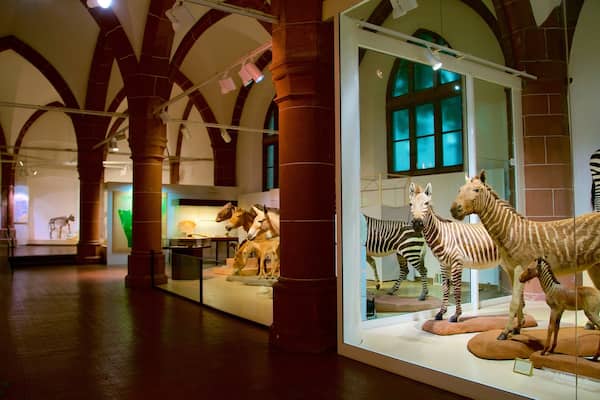 Naturhistorisches Museum