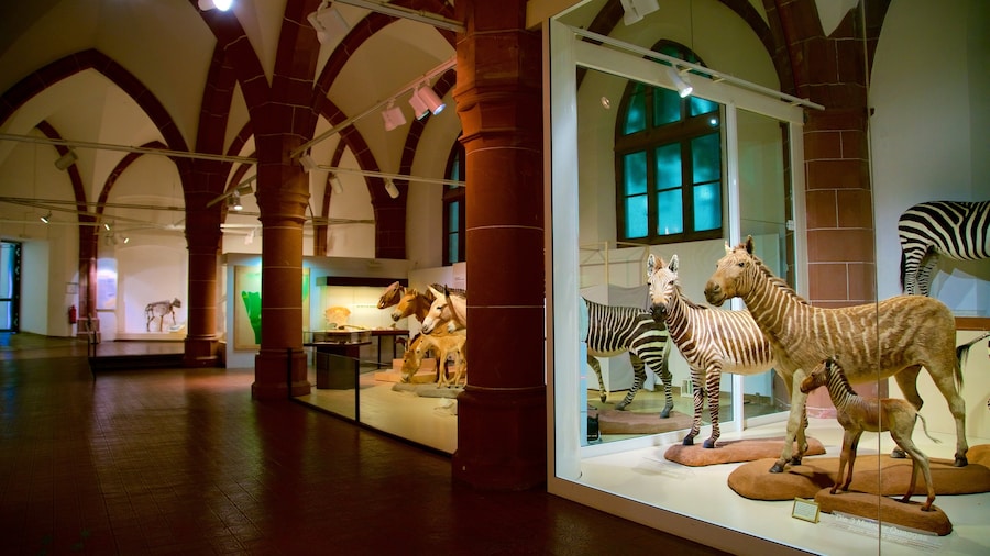 Museum Naturhistorisches