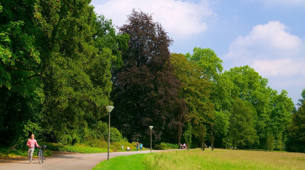 Jardin botanique Rombergpark