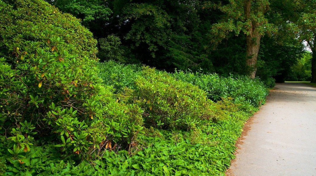 隆貝格公園植物園