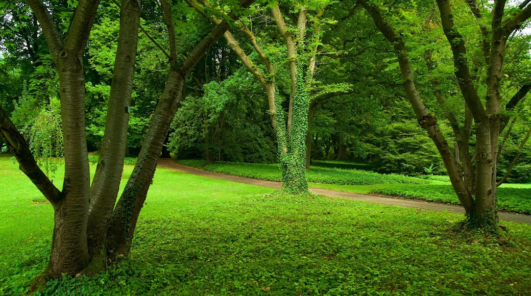 Jardin botanique Rombergpark