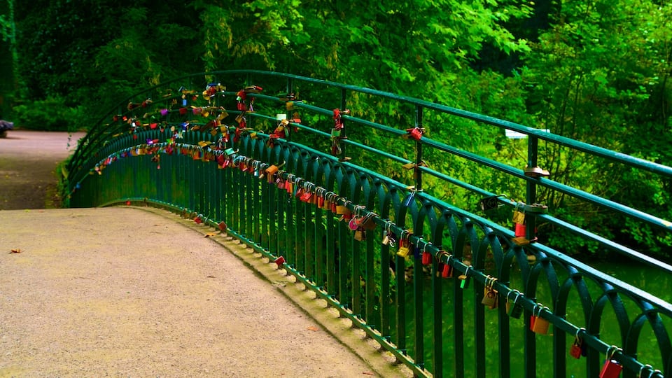 Rombergpark Botanical Garden