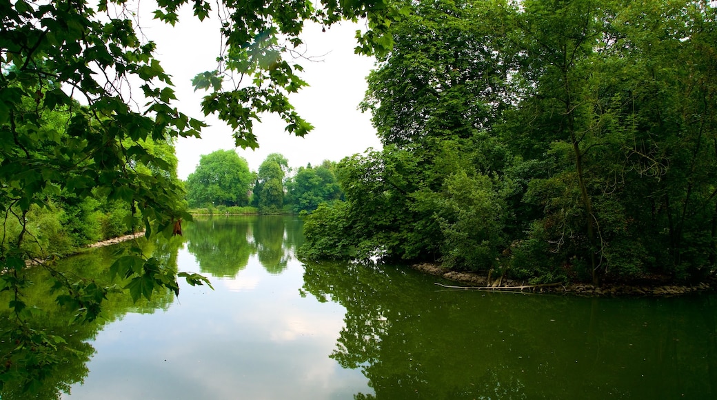 Jardin botanique Rombergpark