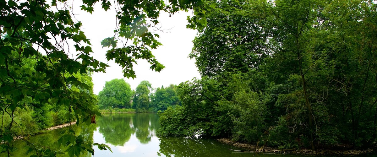 Botanischer Garten Rombergpark