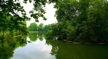 Jardin botanique Rombergpark