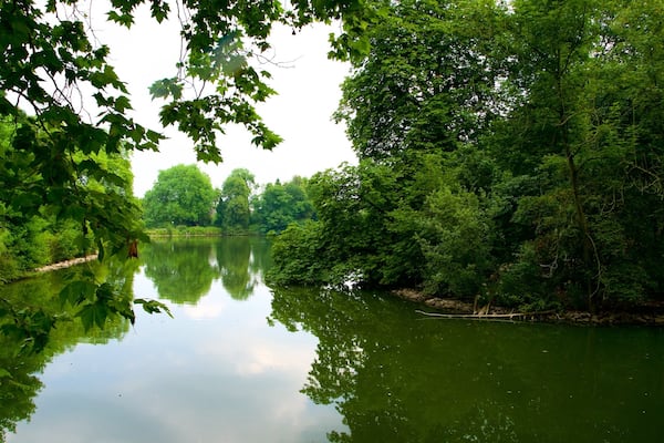 Jardin botanique Rombergpark