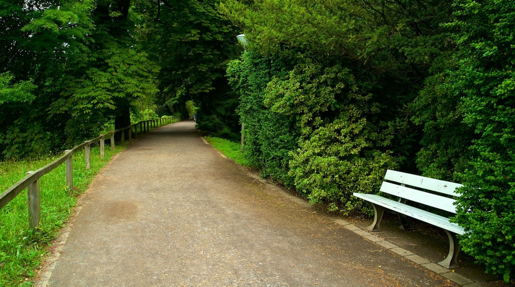 Rombergpark botaniska trädgård