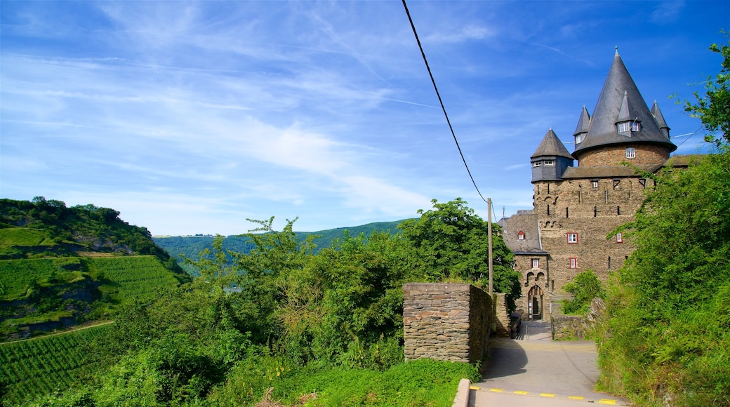 Stahleck Castle