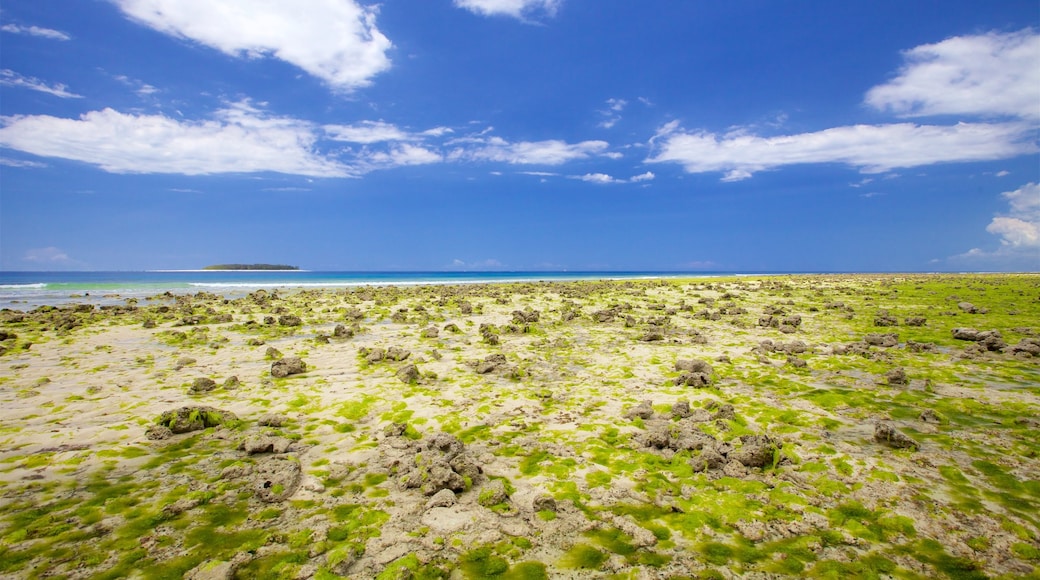 Isola di Mnemba