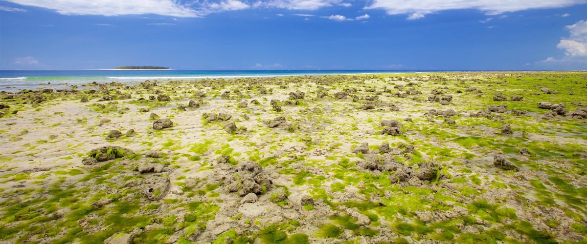 Mnemba Island