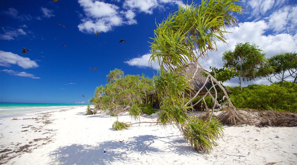 Plage de Muyuni