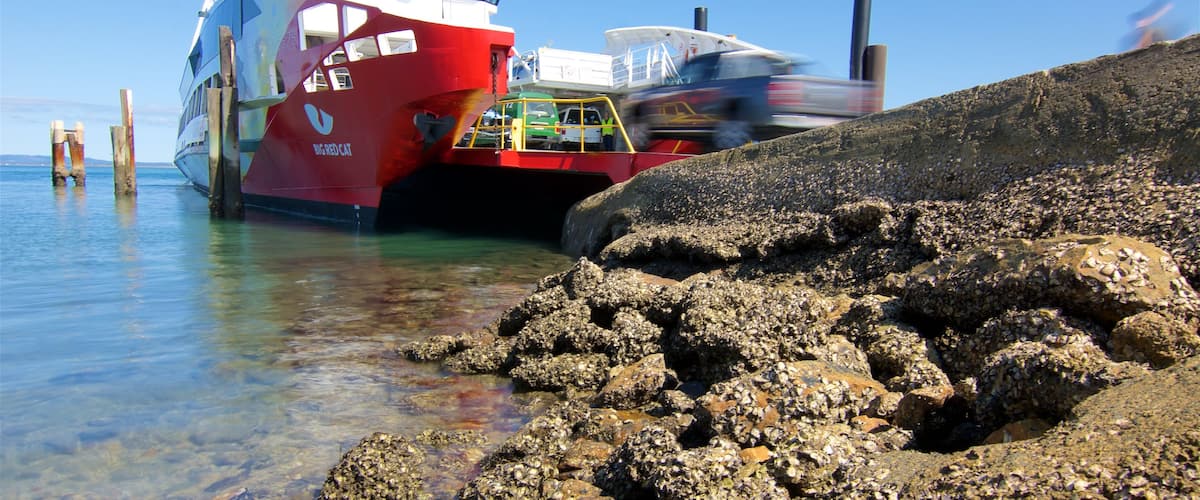 Terminal du ferry Ă  Dunwich