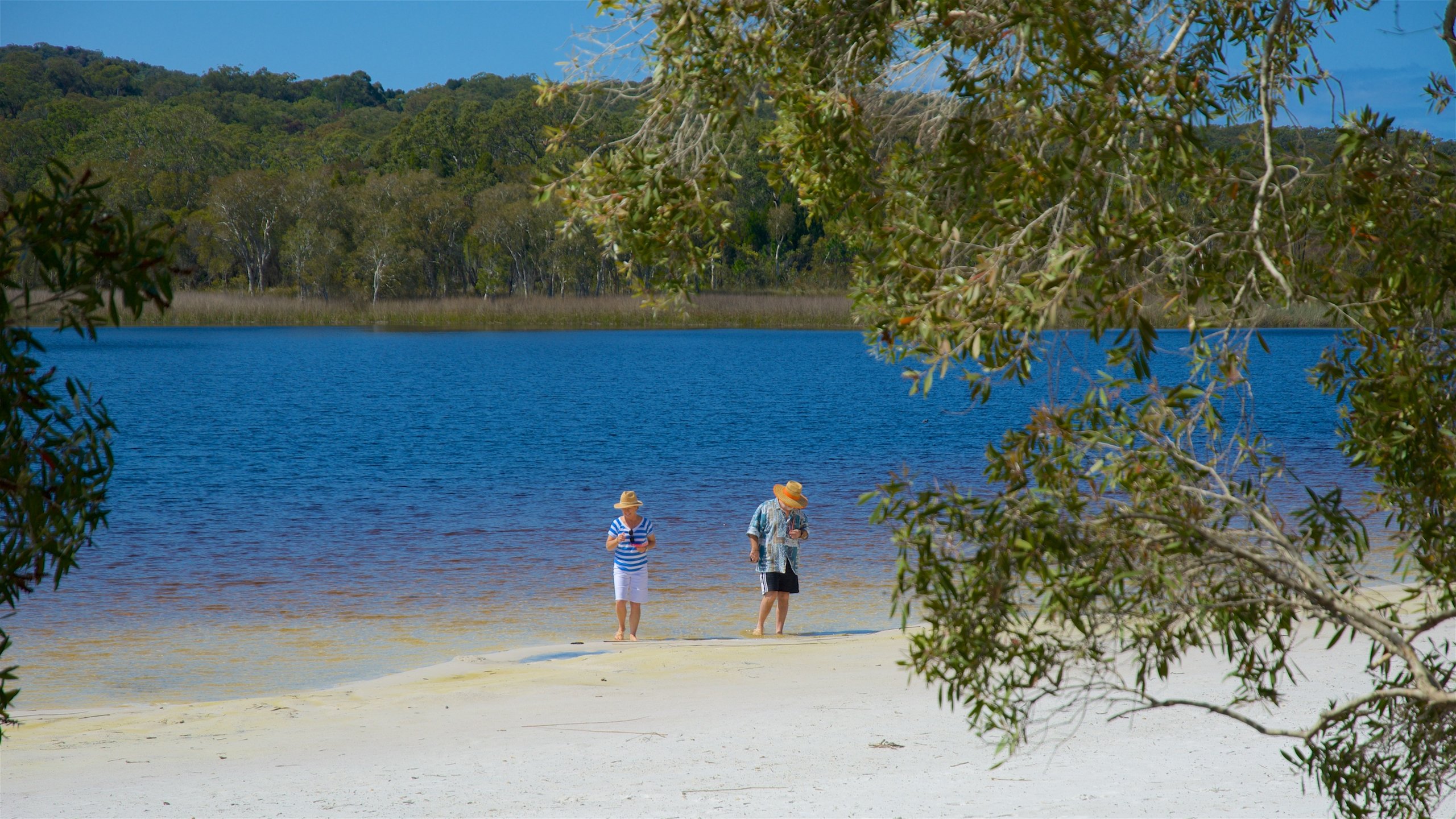 Visitez Ville de Redland : le meilleur de Ville de Redland, Queensland ...