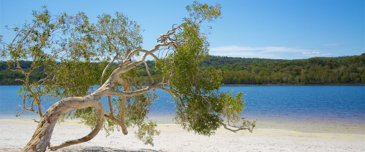 Brown Lake Conservation Area